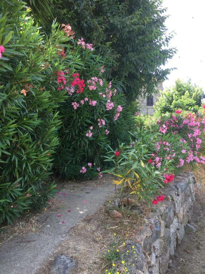Santa-Lucia-di-Tallano Gite , Maison De Vacances Avec Exterieur Et Terrasse Fleurie Meuble Tourisme 3 Etoiles מראה חיצוני תמונה